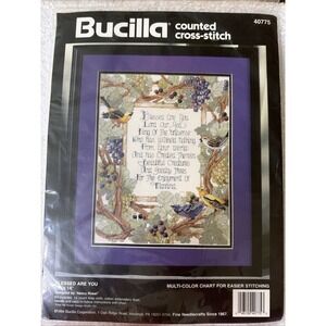 Bucilla Counted Cross Stitch Kit Blessed Are You 11 x 14 VTG 1994 New #40775 NIP